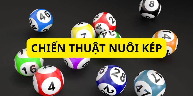 Thành viên nên nuôi kép khi có đủ kinh nghiệm và hiểu biết